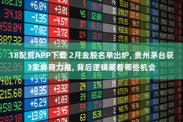 18配资APP下载 2月金股名单出炉, 贵州茅台获3家券商力推, 背后逻辑藏着哪些机会